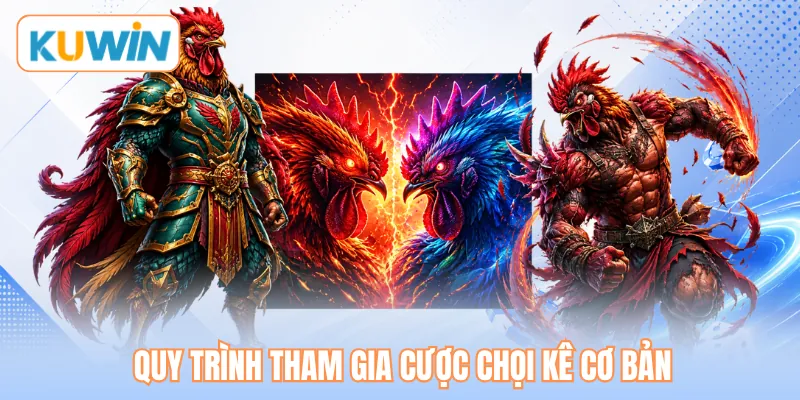 Quy trình tham gia cược chọi kê cơ bản Quy trình tham gia cược chọi kê cơ bản
